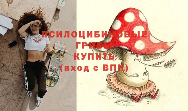 гидра Верхнеуральск