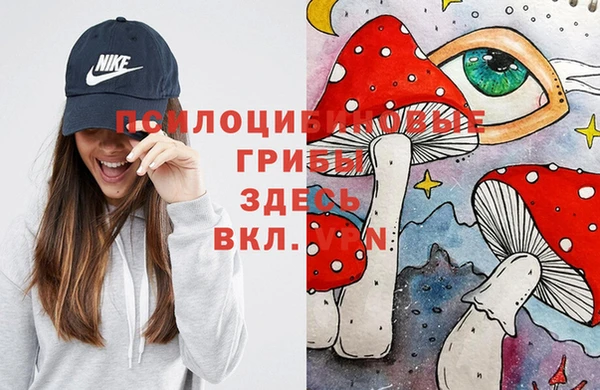 гидра Верхнеуральск