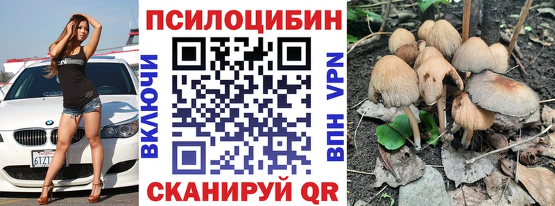 купить закладку  Новохопёрск  Псилоцибиновые грибы Cubensis 